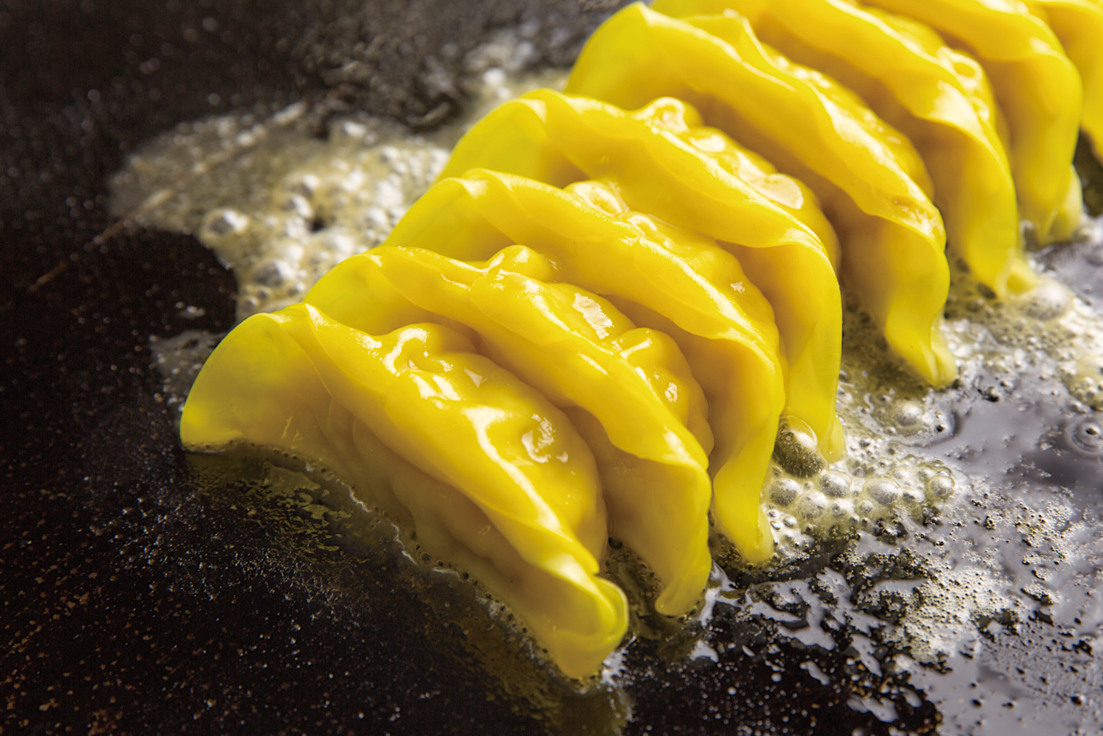 土佐のはちきん地鶏餃子の写真